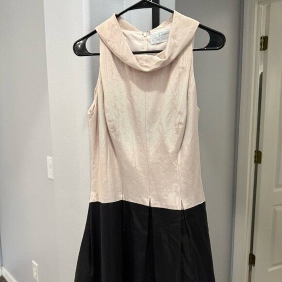 Carol Peretz Sleeveless Mock Neck A Line Black Pink Dress Size 6 Vintage Vtg • - Picture 2 of 11